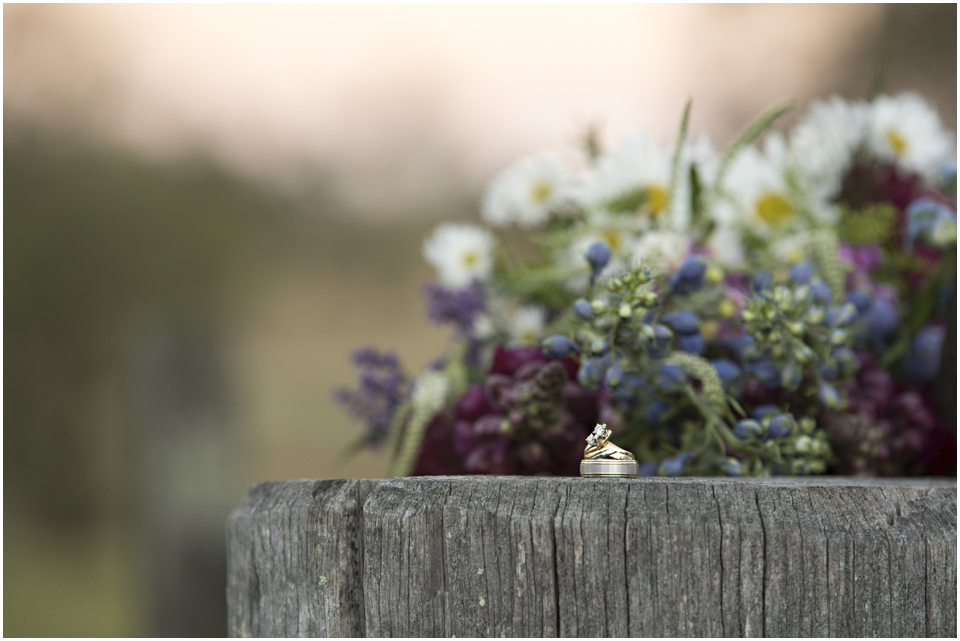 Camden Wedding Photography, Angie Duncan Photography, Gledswood Homestead
